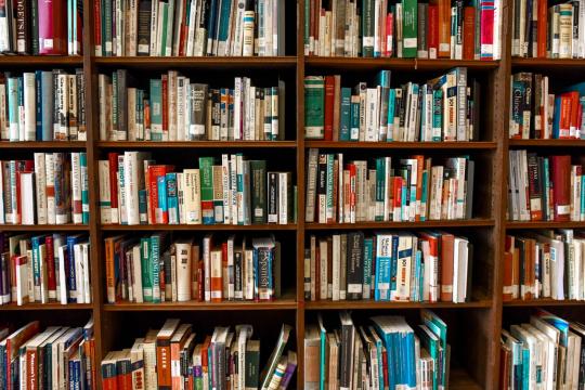 Bibliotheek-, archief en documentatiekunde